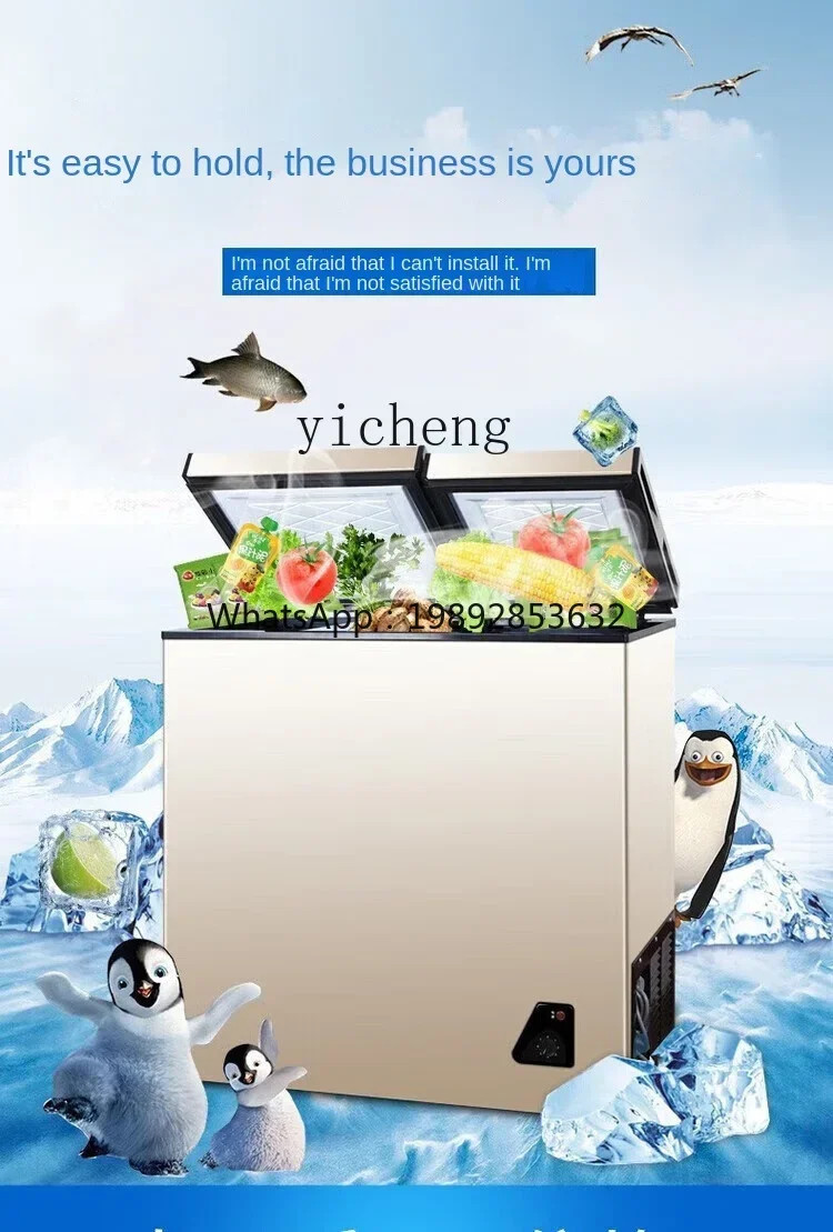 Food Storage Frozen - Congélateur domestique compact et économe en