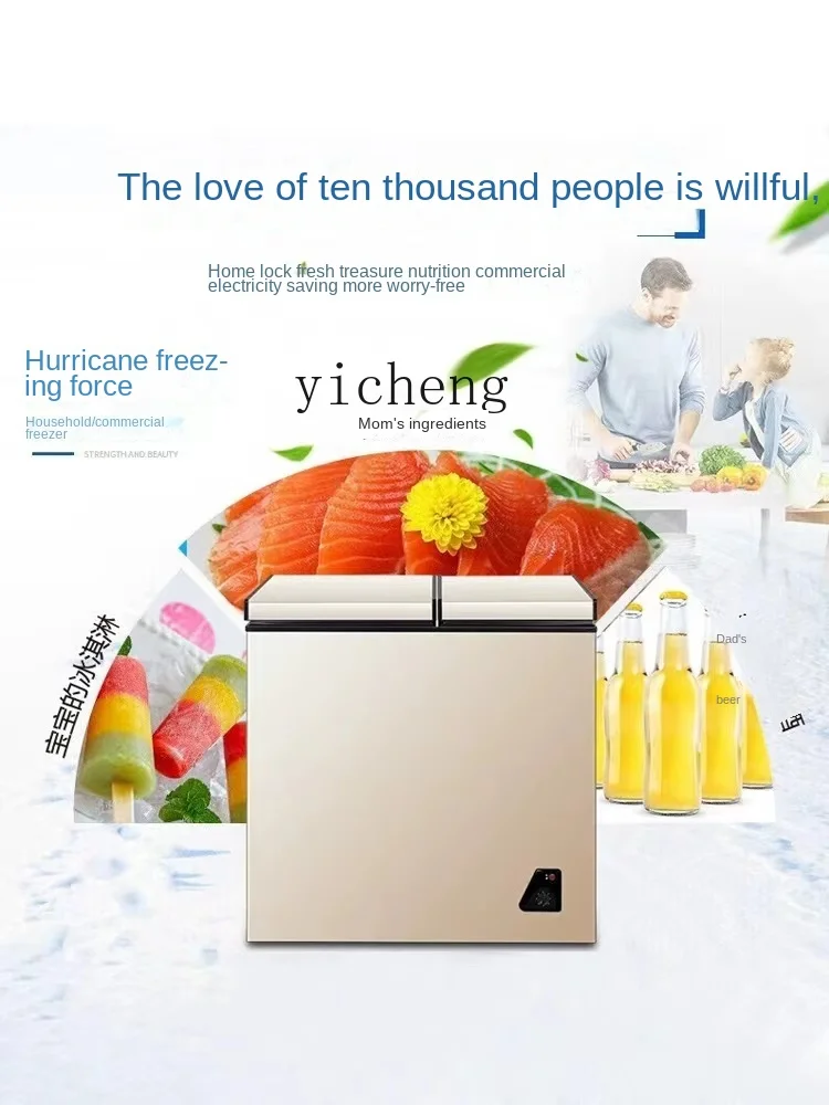 Petit Mini congélateur domesti - Food Storage Frozen avis et prix