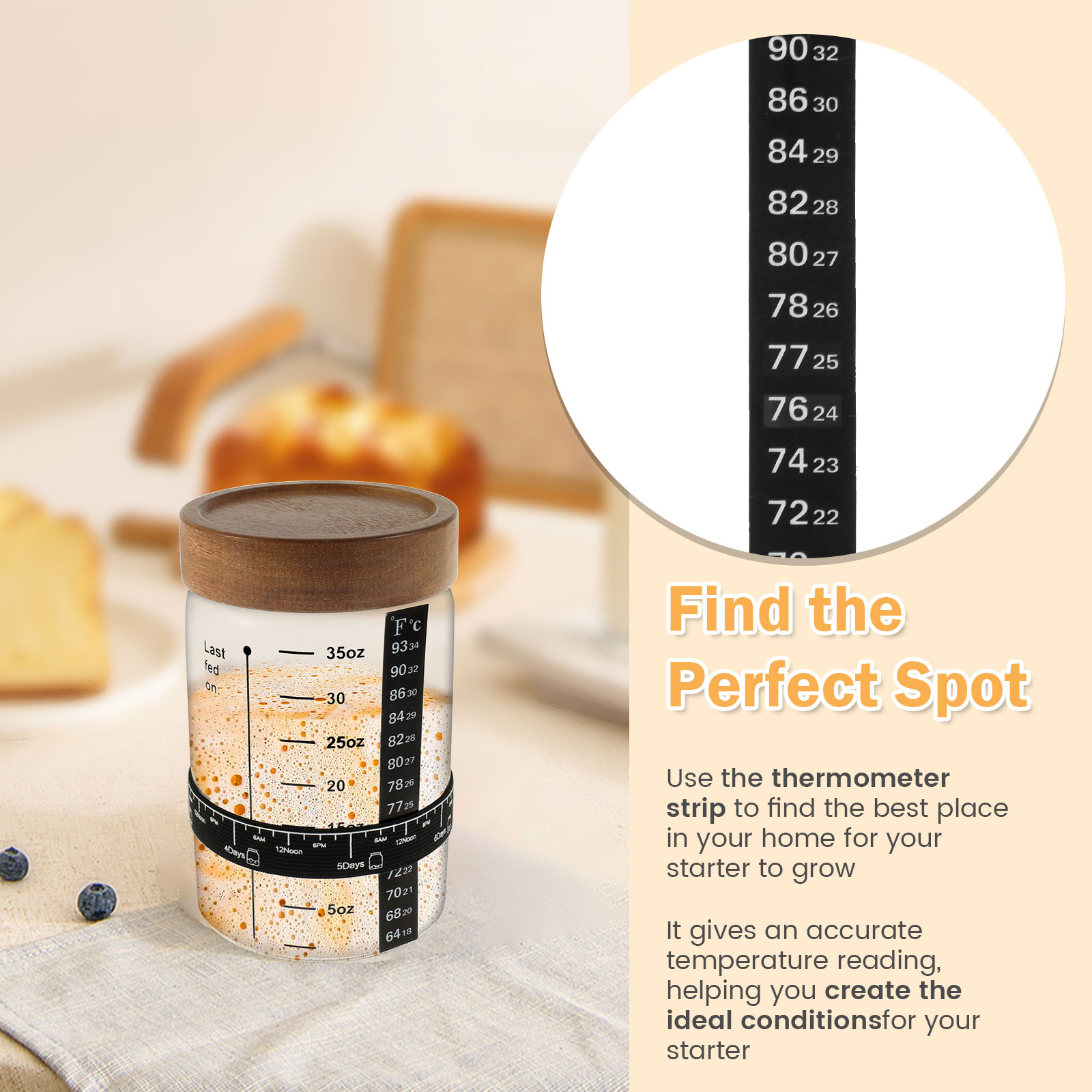 Kit de pot de démarrage au lev - Food Storage Glass Jar avis et prix